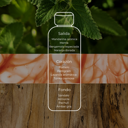 H Esencia