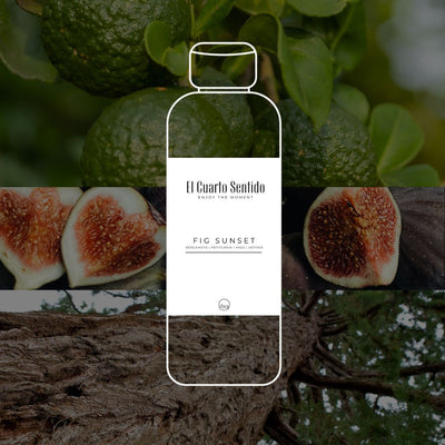Fig Sunset