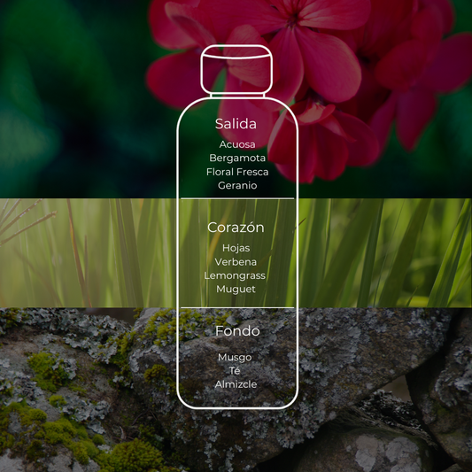 Aroma ofial MOI by Martha Debayle
